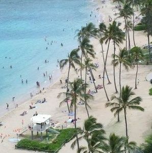 Meet your Posher, Sally